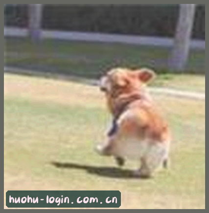 赵雷