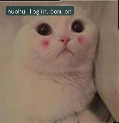 王强